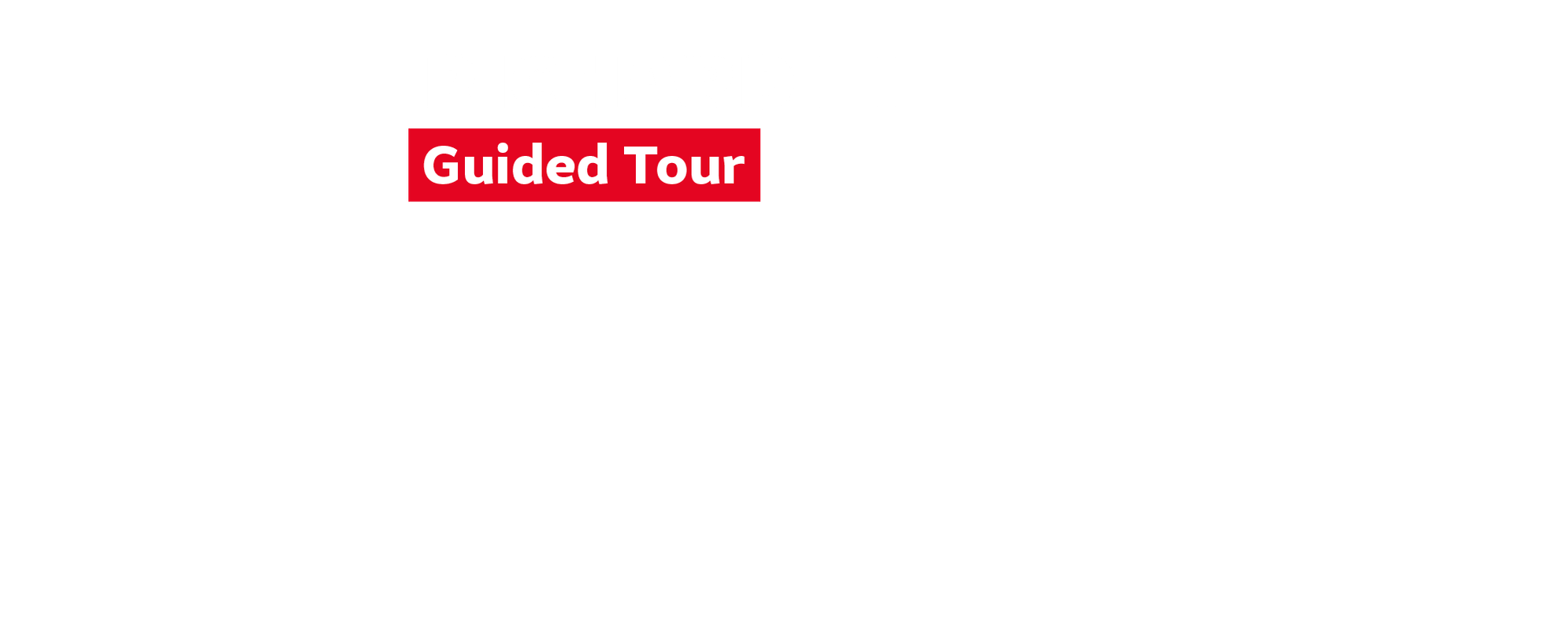White overlaid text reading Richard III guided tour.