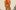 A sketch of a person wearing the costume of Fox in Pinocchio. They are wearing an orange admiral's hat with fox ears poking out of the top; an orange ruff, tunic and leggings, an orange sash and white boots.
