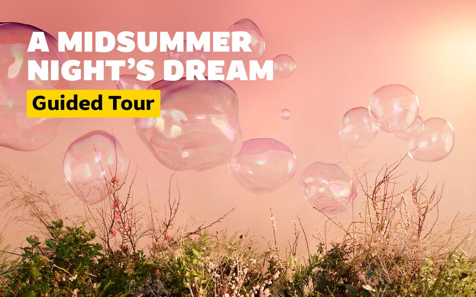 A Midsummer Night's Dream Guided Tour. A light pink background of spring foliage and bubbles of various shapes and sizes.