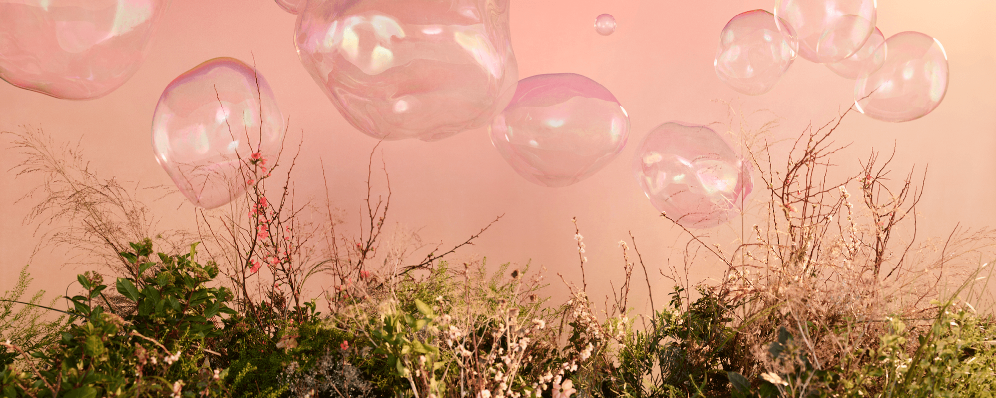 A light pink background of spring foliage and bubbles of various shapes and sizes.