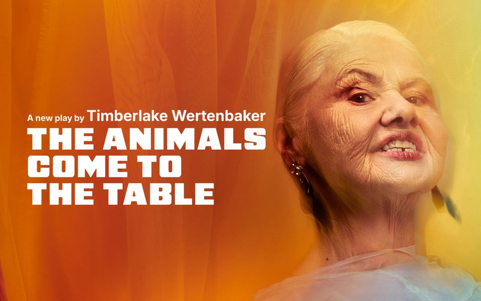 The Animals Come to the Table - A new play by Timberlake Wertenbaker. A person wearing earrings and a white top looks into the camera. The background is a yellow and orange wave texture. The person is blurred slightly into the background.