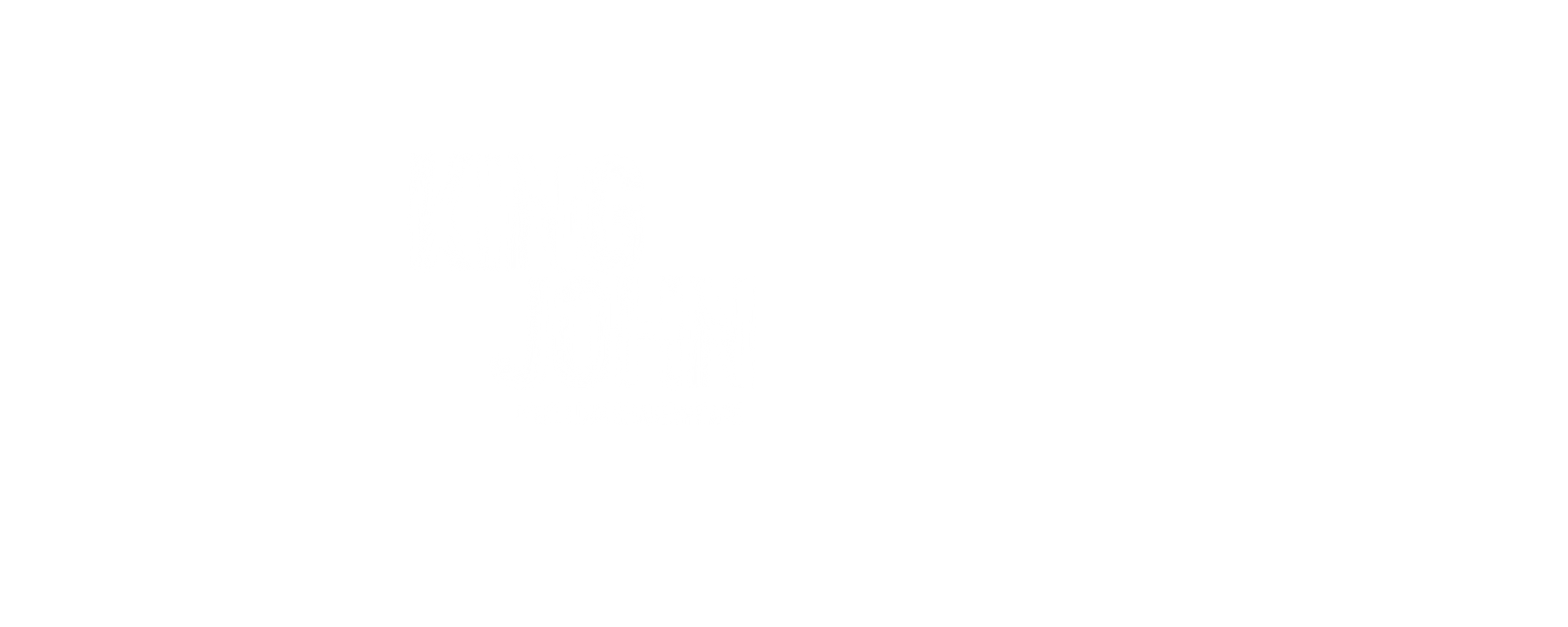 King John by William Shakespeare.