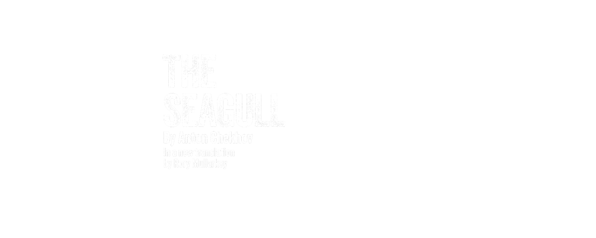 The Seagull by Anton Chekov in a new translation by Rory Mullarkey.