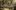 As-you-like-it-aspect-ratio-640-400